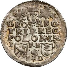 3 Groszy (Trojak) 1596  IF HR ID  "Poznań Mint"