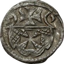 Denar 1555    "Elbing"