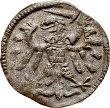 Denar no date (no-date-1548)  MS  "Danzig"