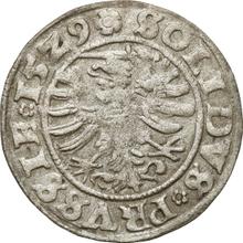 Schilling (Szelag) 1529    "Torun"