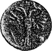 Polushka (1/4 Kopek) 1718    (Pattern)