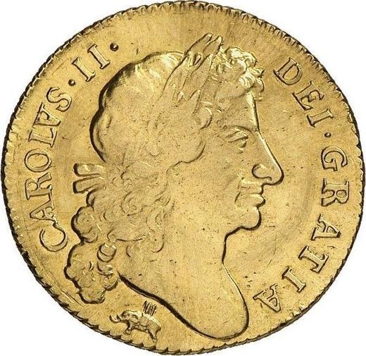 Avers 1 Guinee 1678 "Viertes Lorbeerbüste" Elefant und Schloss - Goldmünze Wert - Großbritannien, Karl II