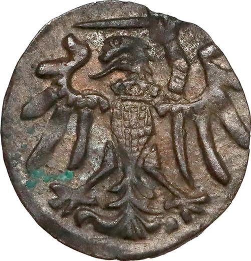 Аверс монеты - Денарий 1556 года "Гданьск" - цена серебряной монеты - Польша, Сигизмунд II Август