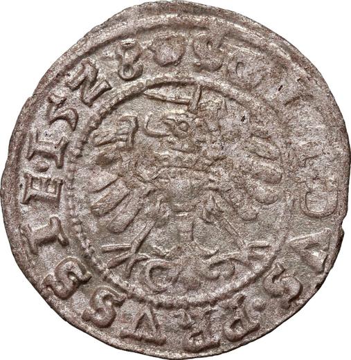 Revers Schilling (Szelag) 1528 "Thorn" - Silbermünze Wert - Polen, Sigismund der Alte