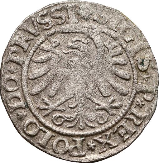 Reverse Schilling (Szelag) 1533 "Elbing" - Silver Coin Value - Poland, Sigismund I the Old