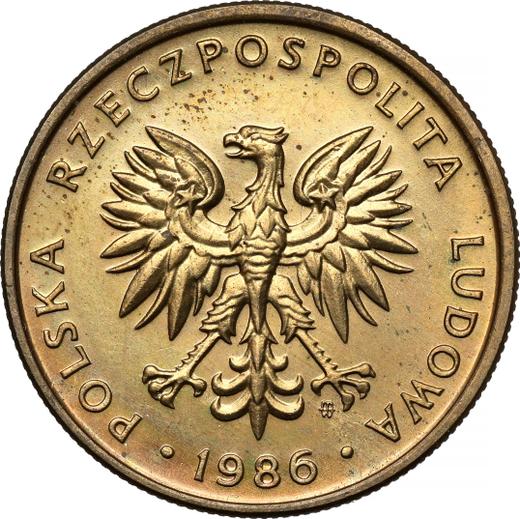 Awers monety - Próba 5 złotych 1986 MW Mosiądz - cena monety - Polska, PRL