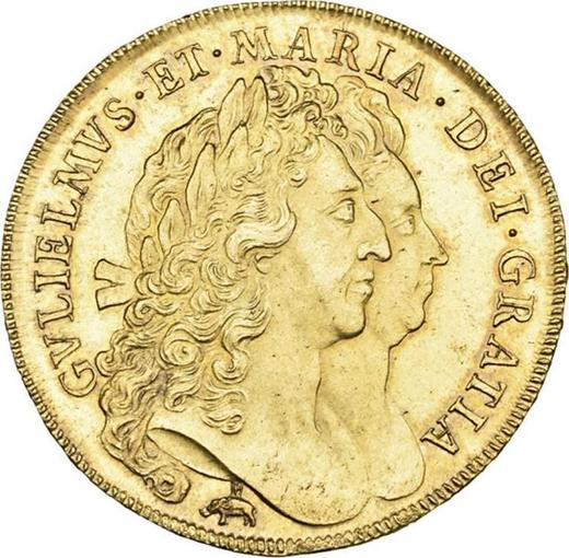 Avers 5 Guinee 1693 Elefant und Schloss - Goldmünze Wert - Großbritannien, Wilhelm III und Maria II