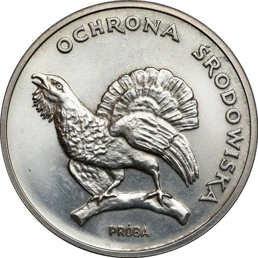 Rewers monety - Próba 100 złotych 1980 MW "Głuszec" Srebro - cena srebrnej monety - Polska, PRL