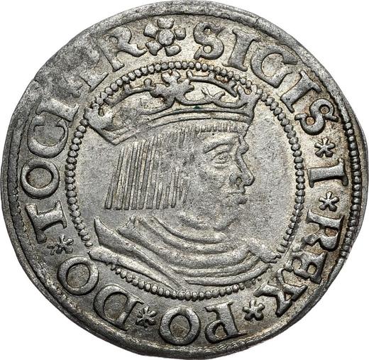 Anverso 1 grosz 1531 "Gdańsk" - valor de la moneda de plata - Polonia, Segismundo I