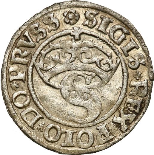 Avers Schilling (Szelag) 1530 "Thorn" - Silbermünze Wert - Polen, Sigismund der Alte