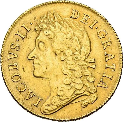 Obverse Two guinea 1687 - Gold Coin Value - United Kingdom, James II