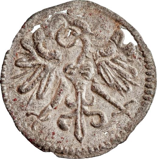 Obverse Denar 1550 CWF "Wschowa" - Silver Coin Value - Poland, Sigismund II Augustus