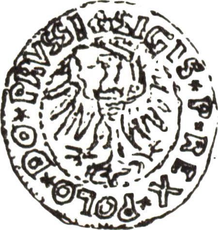 Reverse Schilling (Szelag) 1534 "Elbing" - Silver Coin Value - Poland, Sigismund I the Old