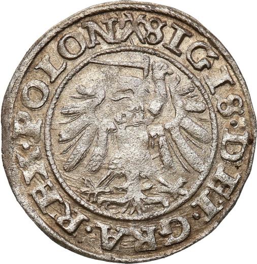 Reverse Schilling (Szelag) 1540 "Danzig" - Silver Coin Value - Poland, Sigismund I the Old