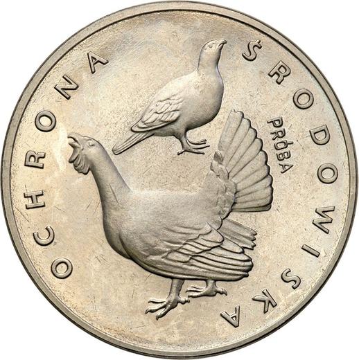 Revers Probe 100 Zlotych 1980 MW "Auerhuhn" Nickel - Münze Wert - Polen, Volksrepublik Polen