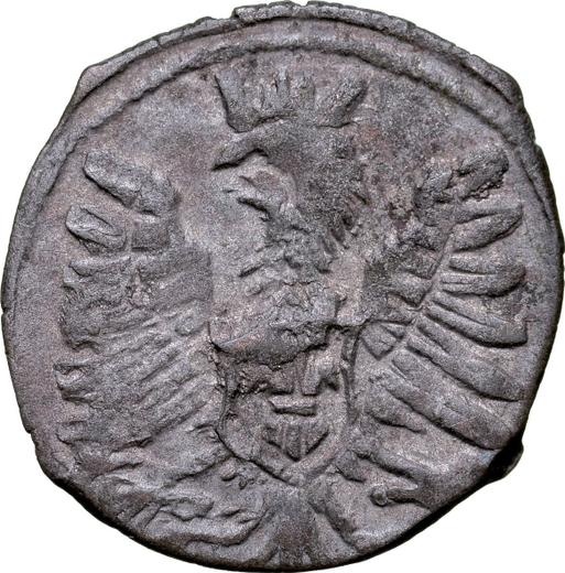 Avers Denar 1603 "Typ 1587-1614" - Silbermünze Wert - Polen, Sigismund III