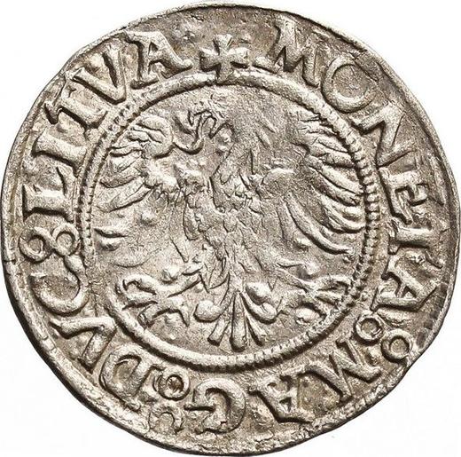 Аверс монеты - Полугрош (1/2 гроша) без года (1545-1572) "Литва" - цена серебряной монеты - Польша, Сигизмунд II Август