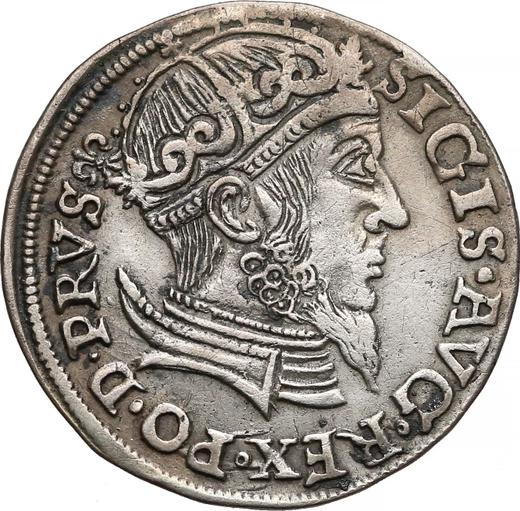 Obverse 3 Groszy (Trojak) 1557 "Danzig" - Silver Coin Value - Poland, Sigismund II Augustus