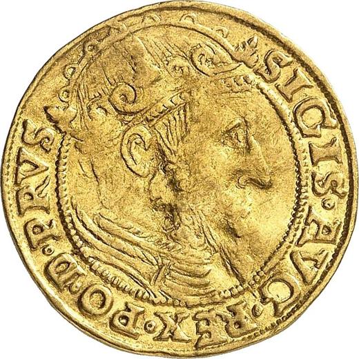 Obverse Ducat 1557 "Danzig" - Gold Coin Value - Poland, Sigismund II Augustus