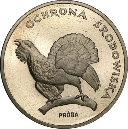 Revers Probe 100 Zlotych 1980 MW "Auerhuhn" Nickel - Münze Wert - Polen, Volksrepublik Polen