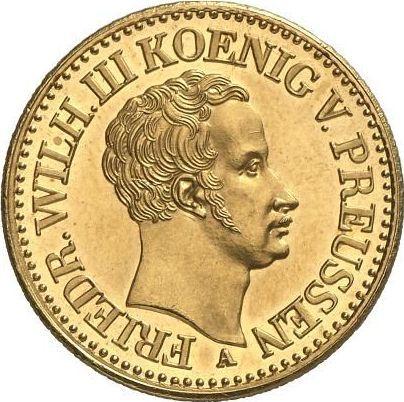 Avers Doppelter Friedrichs d'or 1829 A - Goldmünze Wert - Preußen, Friedrich Wilhelm III