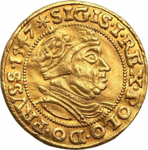 Avers Dukat 1547 "Danzig" - Goldmünze Wert - Polen, Sigismund der Alte