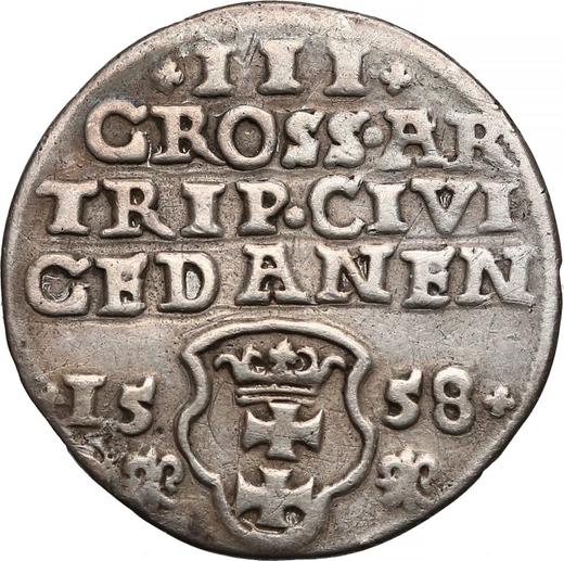 Revers 3 Gröscher 1558 "Danzig" - Silbermünze Wert - Polen, Sigismund II August