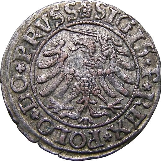 Reverse Schilling (Szelag) 1532 "Elbing" - Silver Coin Value - Poland, Sigismund I the Old