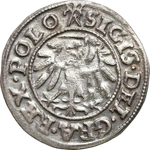 Reverse Schilling (Szelag) 1539 "Danzig" - Silver Coin Value - Poland, Sigismund I the Old